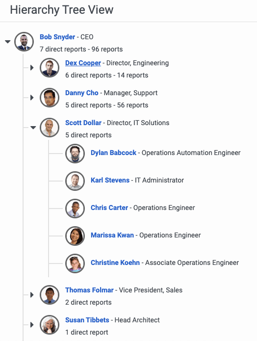 The hierarchy tree view