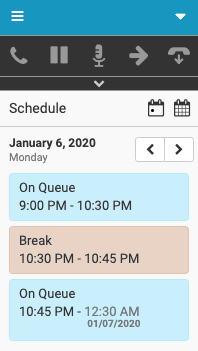 Day view of agent's schedule