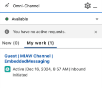 This image is a screenshot of the Omni-Channel with the Messaging in Salesforce.
